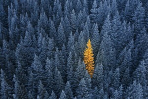 Building trust with clients comes from letting your uniqueness shine